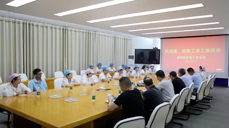 抓黨建、促穩工”——炬神電子黨支部為企業穩工獻計獻策